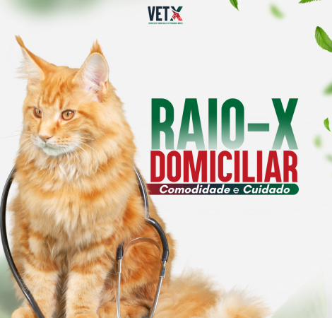 raio_x_domicilar_gato